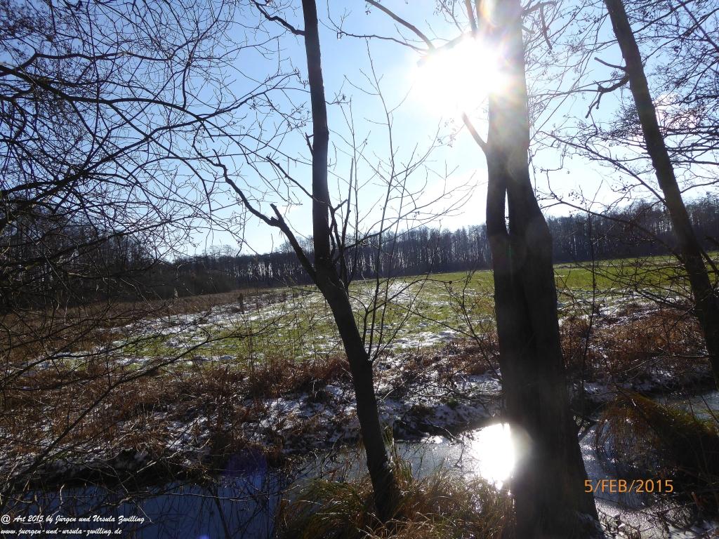Philosophische Bildwanderung Hemmelsdorfer See - Vogelpark Niendorf - Timmerdorferstrand - Ostsee