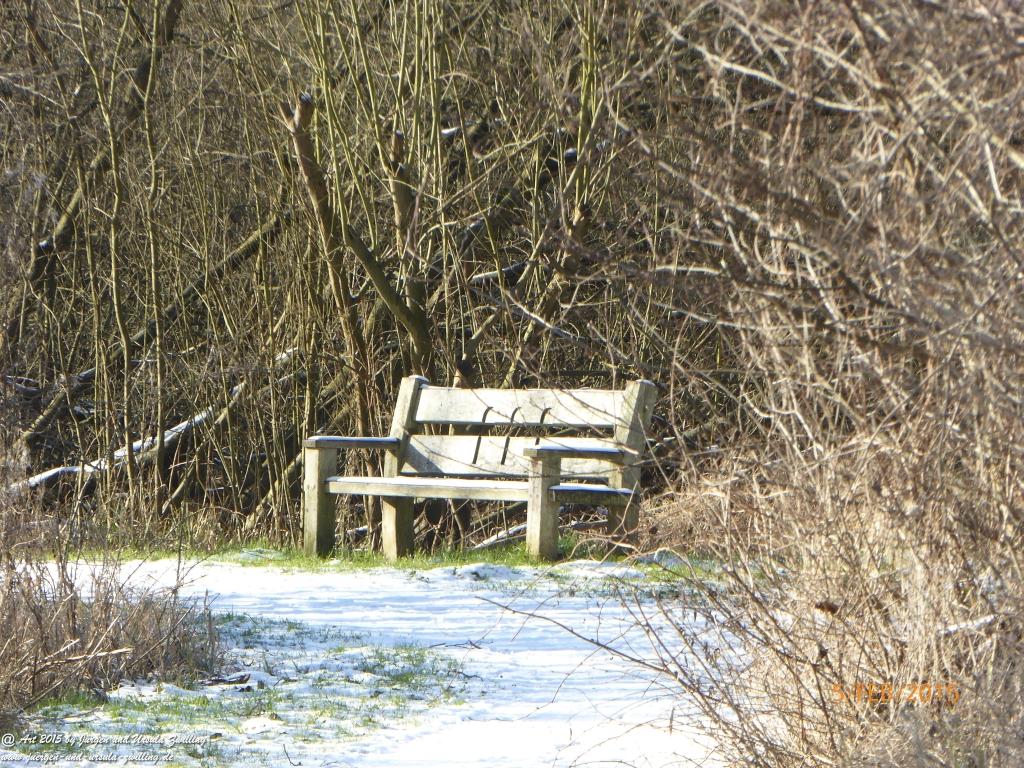 Philosophische Bildwanderung Hemmelsdorfer See - Vogelpark Niendorf - Timmerdorferstrand - Ostsee