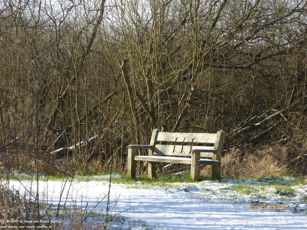 Philosophische Bildwanderung Hemmelsdorfer See - Vogelpark Niendorf - Timmerdorferstrand - Ostsee