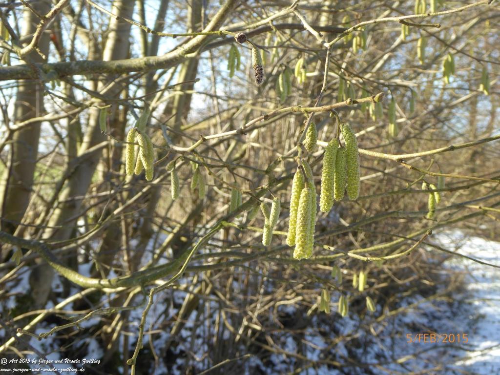 Philosophische Bildwanderung Hemmelsdorfer See - Vogelpark Niendorf - Timmerdorferstrand - Ostsee