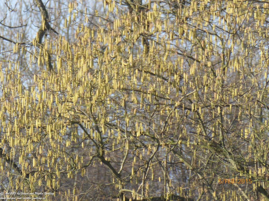 Philosophische Bildwanderung Hemmelsdorfer See - Vogelpark Niendorf - Timmerdorferstrand - Ostsee