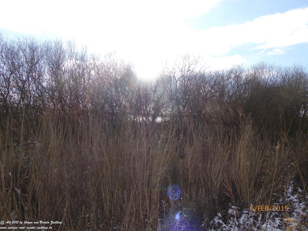 Philosophische Bildwanderung Hemmelsdorfer See - Vogelpark Niendorf - Timmerdorferstrand - Ostsee
