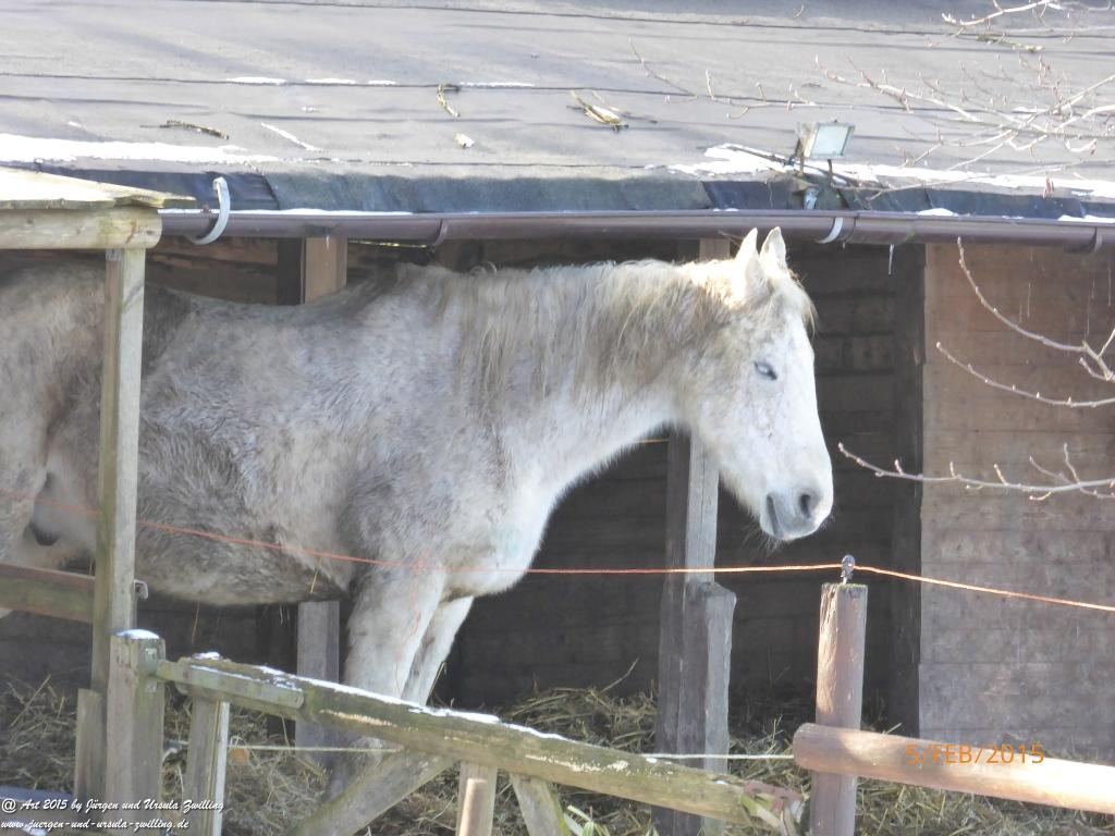 Philosophische Bildwanderung Hemmelsdorfer See - Vogelpark Niendorf - Timmerdorferstrand - Ostsee