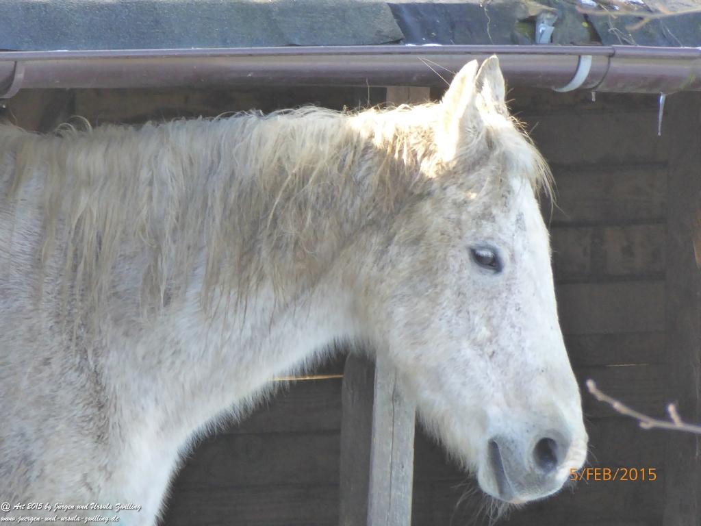 Philosophische Bildwanderung Hemmelsdorfer See - Vogelpark Niendorf - Timmerdorferstrand - Ostsee
