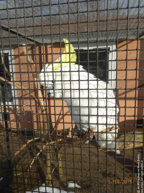 Philosophische Bildwanderung Hemmelsdorfer See - Vogelpark Niendorf - Timmerdorferstrand - Ostsee