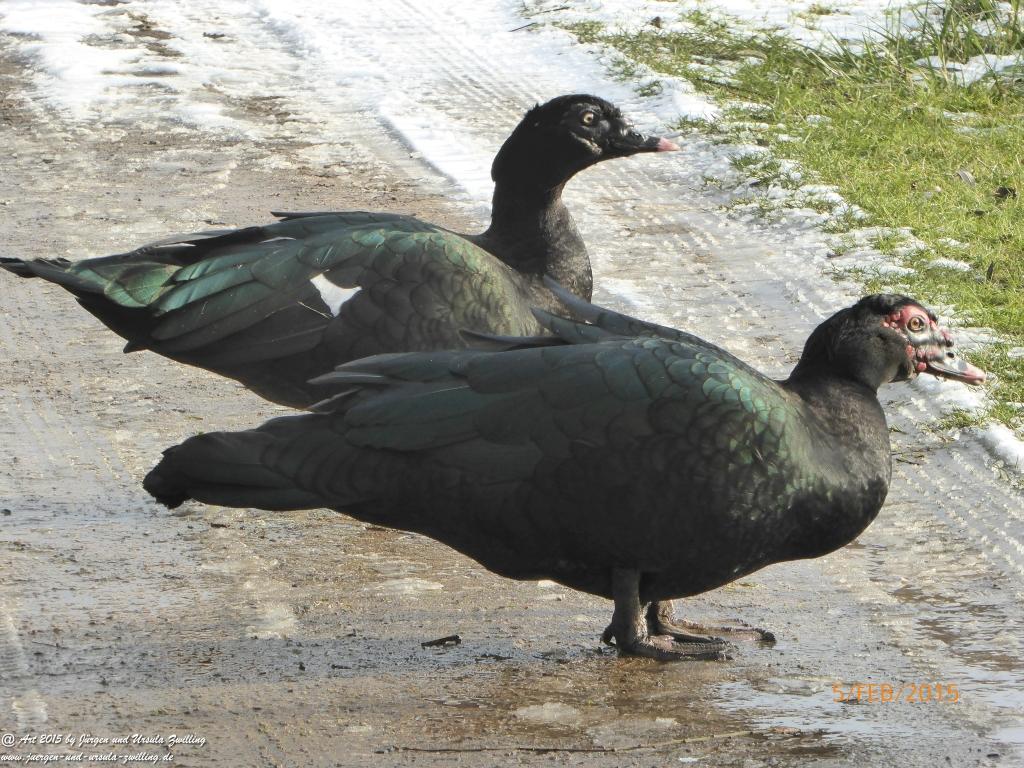 Philosophische Bildwanderung Hemmelsdorfer See - Vogelpark Niendorf - Timmerdorferstrand - Ostsee