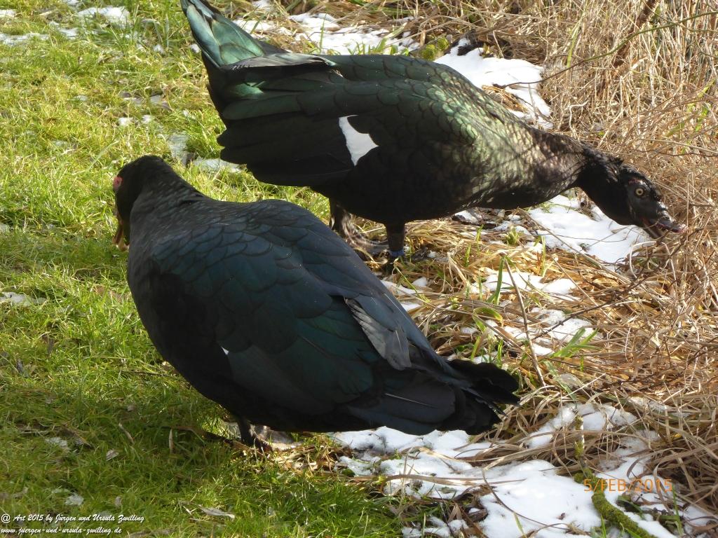 Philosophische Bildwanderung Hemmelsdorfer See - Vogelpark Niendorf - Timmerdorferstrand - Ostsee