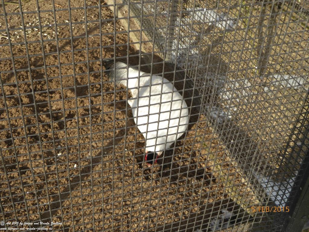 Philosophische Bildwanderung Hemmelsdorfer See - Vogelpark Niendorf - Timmerdorferstrand - Ostsee