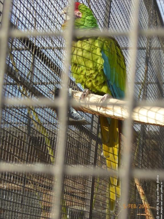 Philosophische Bildwanderung Hemmelsdorfer See - Vogelpark Niendorf - Timmerdorferstrand - Ostsee