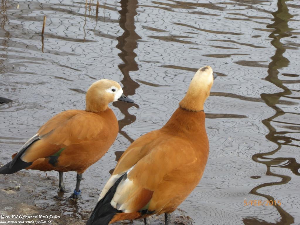Philosophische Bildwanderung Hemmelsdorfer See - Vogelpark Niendorf - Timmerdorferstrand - Ostsee