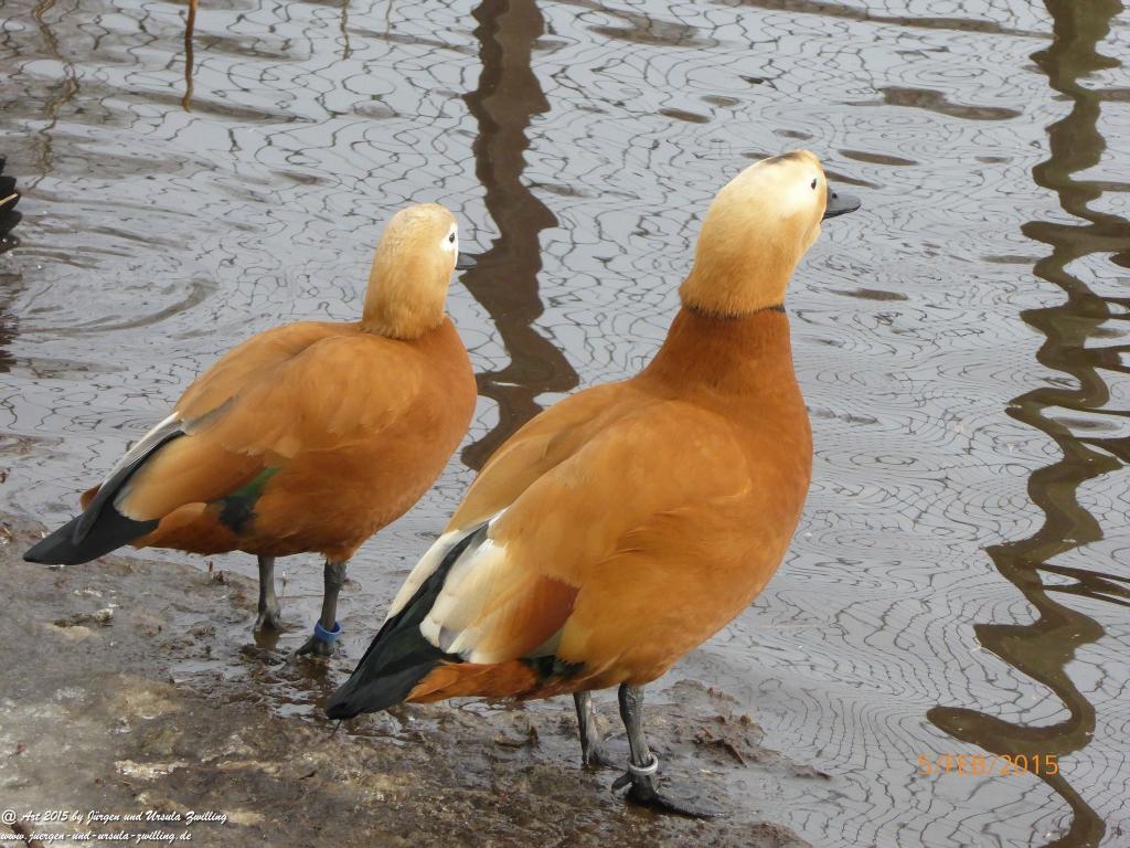 Philosophische Bildwanderung Hemmelsdorfer See - Vogelpark Niendorf - Timmerdorferstrand - Ostsee