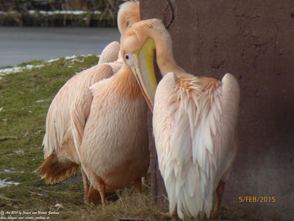 Philosophische Bildwanderung Hemmelsdorfer See - Vogelpark Niendorf - Timmerdorferstrand - Ostsee