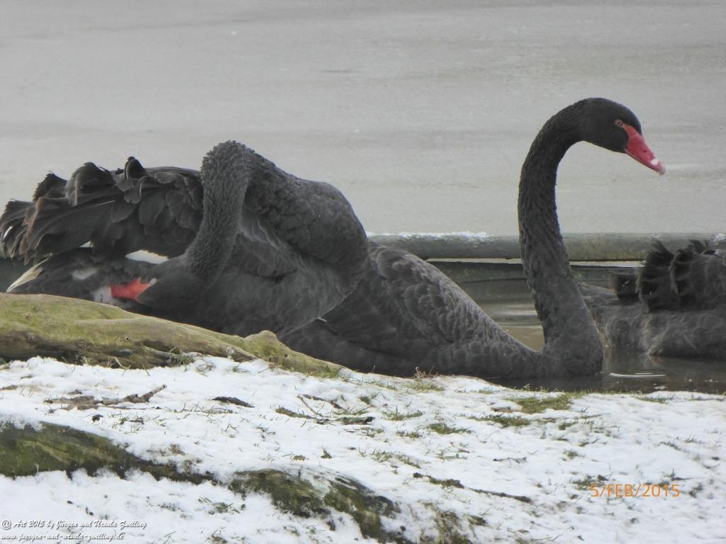 Philosophische Bildwanderung Hemmelsdorfer See - Vogelpark Niendorf - Timmerdorferstrand - Ostsee