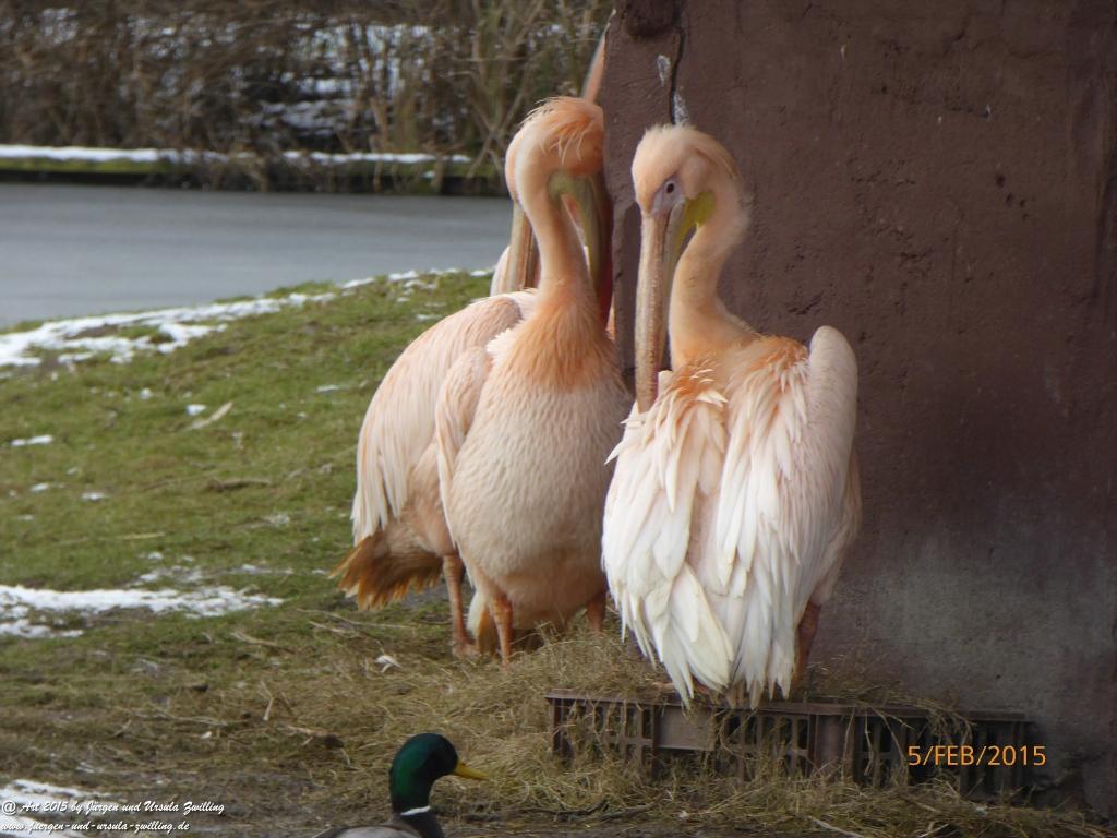 Philosophische Bildwanderung Hemmelsdorfer See - Vogelpark Niendorf - Timmerdorferstrand - Ostsee