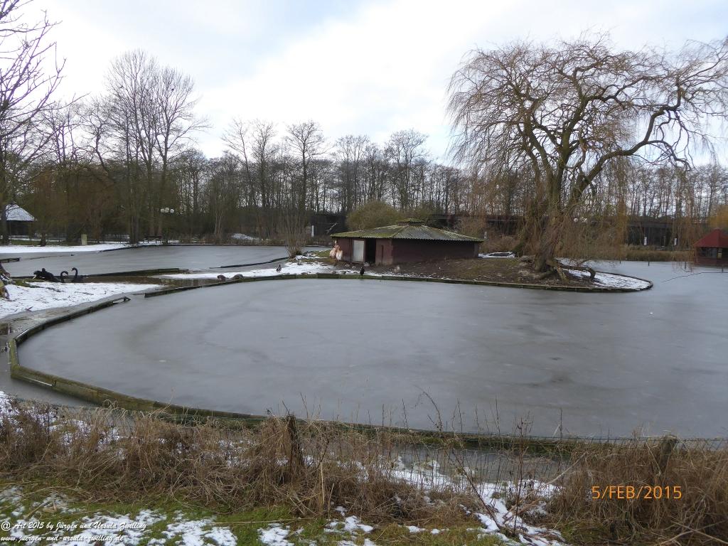 Philosophische Bildwanderung Hemmelsdorfer See - Vogelpark Niendorf - Timmerdorferstrand - Ostsee