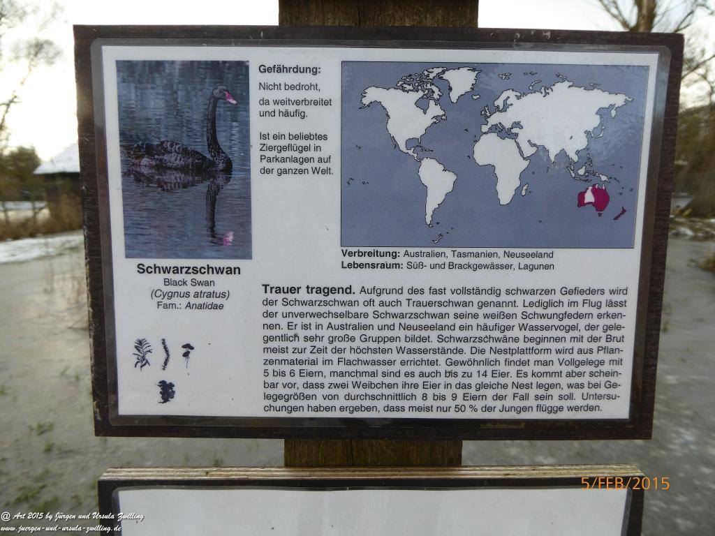 Philosophische Bildwanderung Hemmelsdorfer See - Vogelpark Niendorf - Timmerdorferstrand - Ostsee