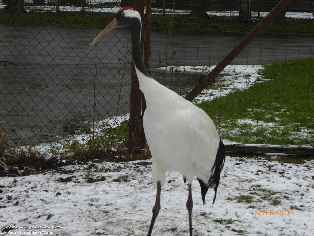 Philosophische Bildwanderung Hemmelsdorfer See - Vogelpark Niendorf - Timmerdorferstrand - Ostsee