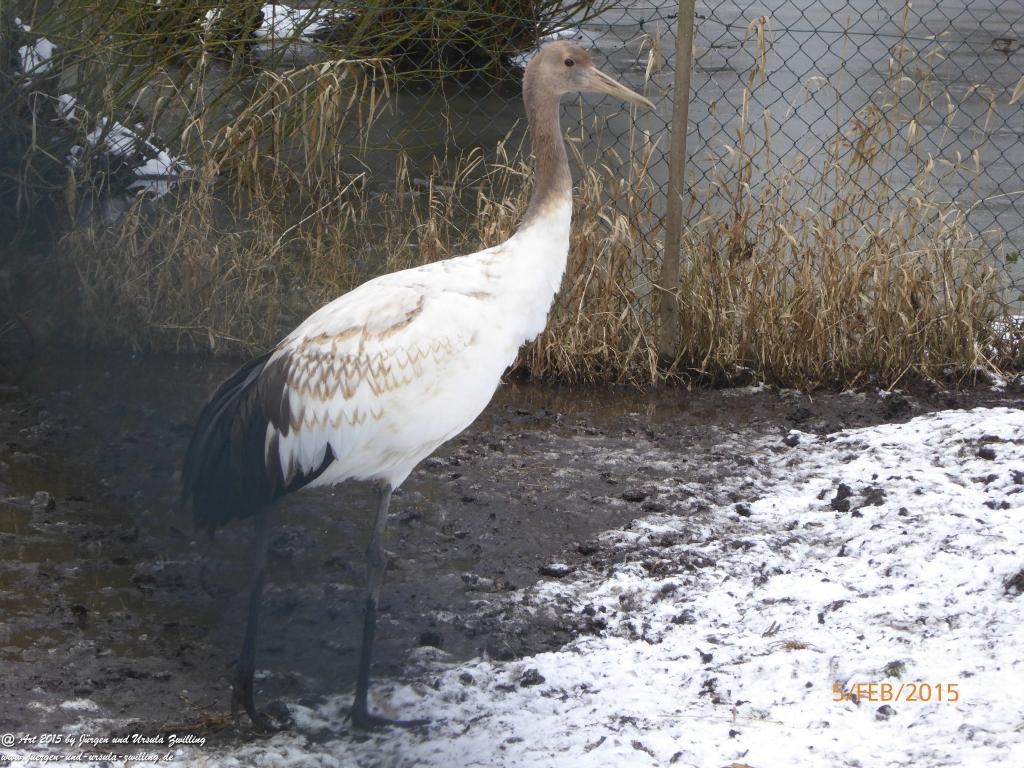 Philosophische Bildwanderung Hemmelsdorfer See - Vogelpark Niendorf - Timmerdorferstrand - Ostsee