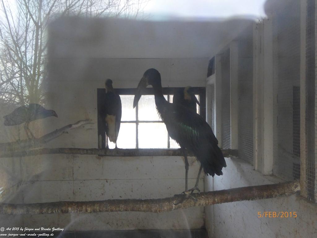 Philosophische Bildwanderung Hemmelsdorfer See - Vogelpark Niendorf - Timmerdorferstrand - Ostsee