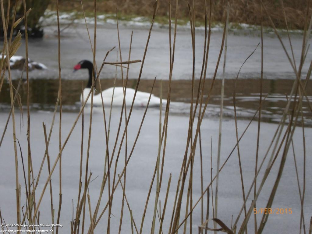 Philosophische Bildwanderung Hemmelsdorfer See - Vogelpark Niendorf - Timmerdorferstrand - Ostsee