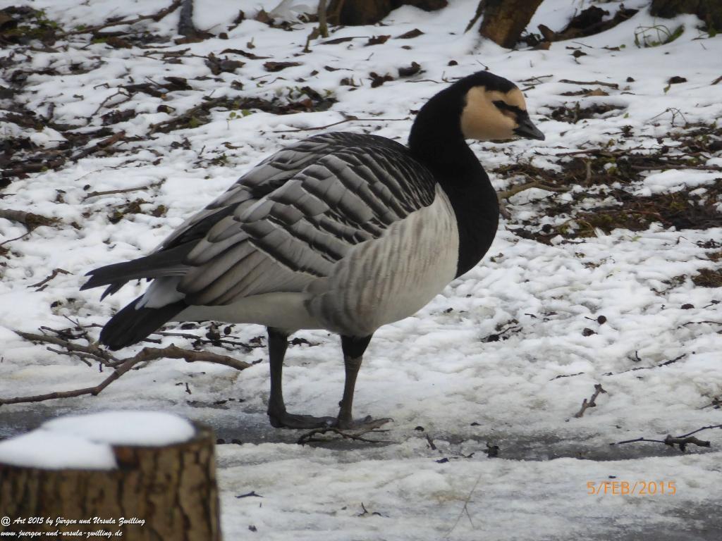 Philosophische Bildwanderung Hemmelsdorfer See - Vogelpark Niendorf - Timmerdorferstrand - Ostsee