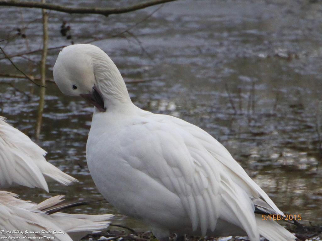 Philosophische Bildwanderung Hemmelsdorfer See - Vogelpark Niendorf - Timmerdorferstrand - Ostsee