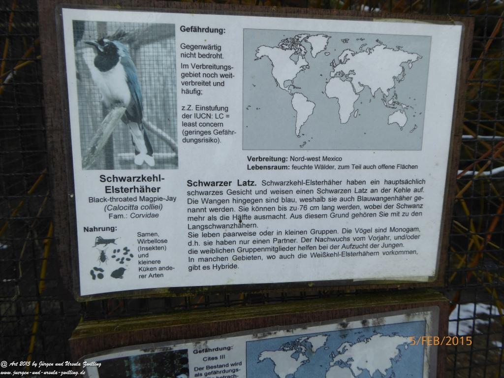 Philosophische Bildwanderung  Hemmelsdorfer See - Vogelpark Niendorf - Timmerdorferstrand - Ostsee
