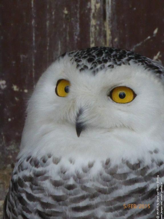 Philosophische Bildwanderung Hemmelsdorfer See - Vogelpark Niendorf - Timmerdorferstrand - Ostsee