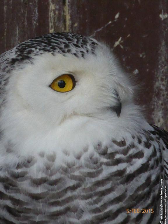 Philosophische Bildwanderung Hemmelsdorfer See - Vogelpark Niendorf - Timmerdorferstrand - Ostsee
