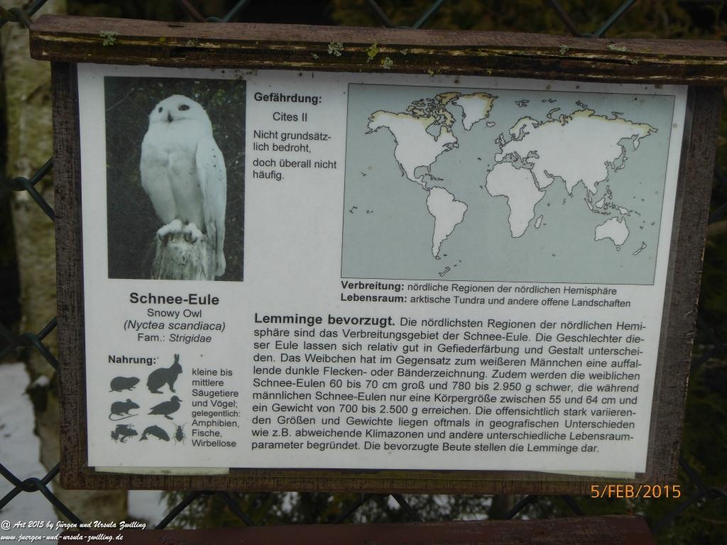 Philosophische Bildwanderung Hemmelsdorfer See - Vogelpark Niendorf - Timmerdorferstrand - Ostsee