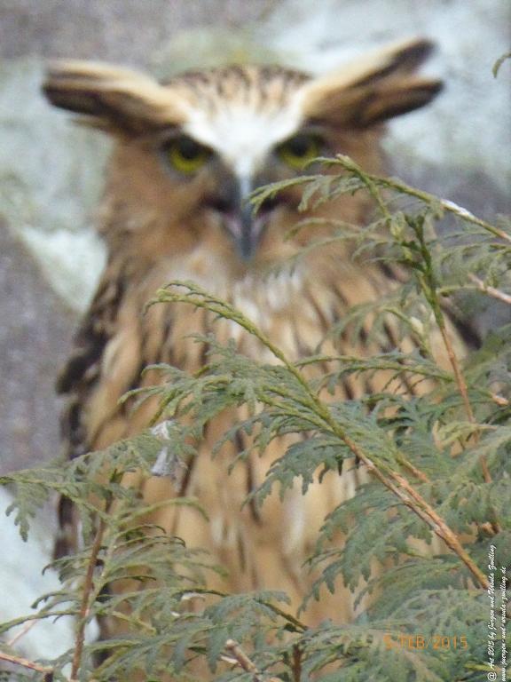 Philosophische Bildwanderung Hemmelsdorfer See - Vogelpark Niendorf - Timmerdorferstrand - Ostsee
