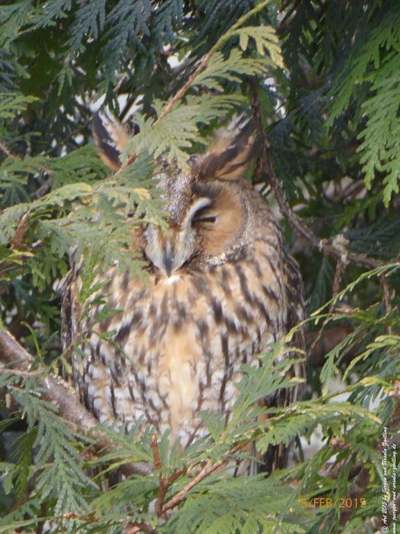 Philosophische Bildwanderung Hemmelsdorfer See - Vogelpark Niendorf - Timmerdorferstrand - Ostsee