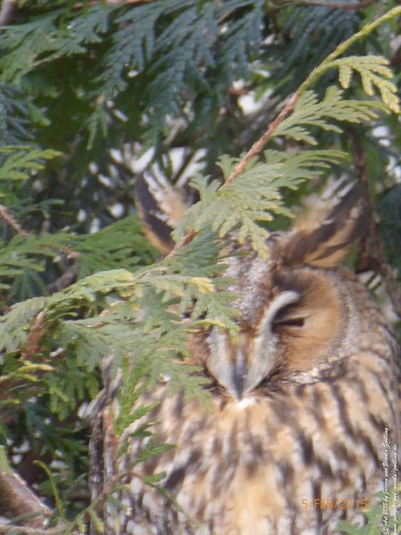 Philosophische Bildwanderung Hemmelsdorfer See - Vogelpark Niendorf - Timmerdorferstrand - Ostsee