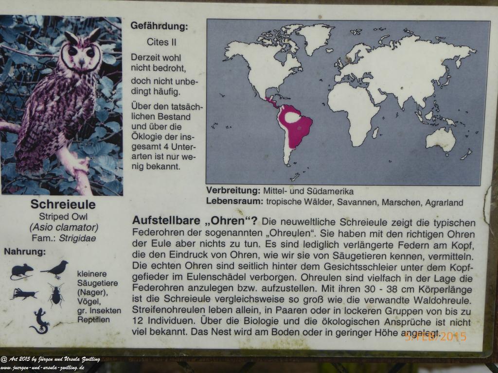 Philosophische Bildwanderung  Hemmelsdorfer See - Vogelpark Niendorf - Timmerdorferstrand - Ostsee