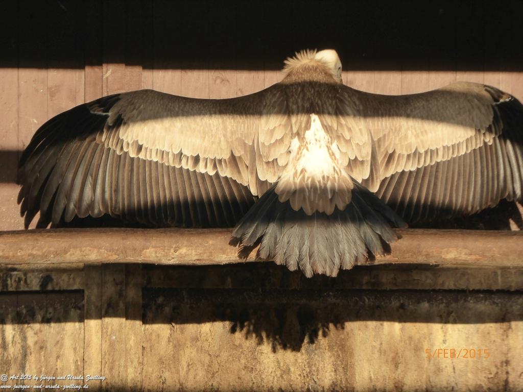 Philosophische Bildwanderung Hemmelsdorfer See - Vogelpark Niendorf - Timmerdorferstrand - Ostsee