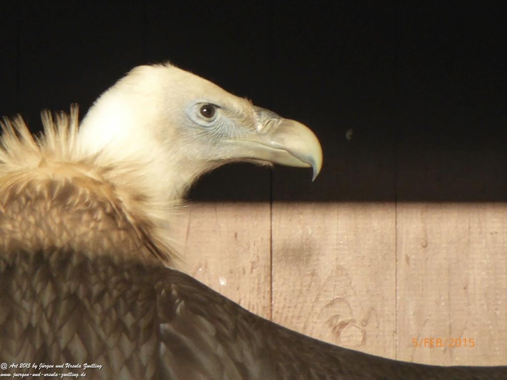 Philosophische Bildwanderung Hemmelsdorfer See - Vogelpark Niendorf - Timmerdorferstrand - Ostsee
