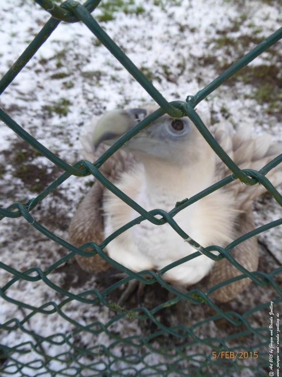 Philosophische Bildwanderung Hemmelsdorfer See - Vogelpark Niendorf - Timmerdorferstrand - Ostsee