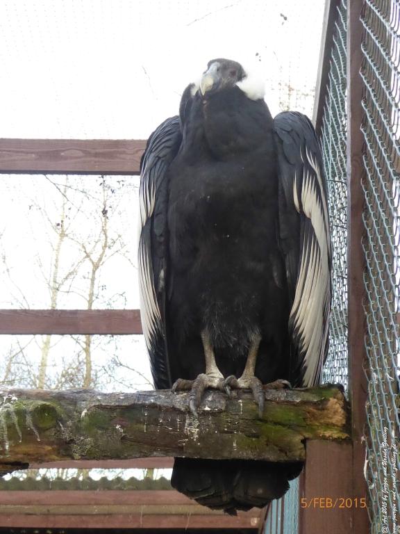 Philosophische Bildwanderung Hemmelsdorfer See - Vogelpark Niendorf - Timmerdorferstrand - Ostsee