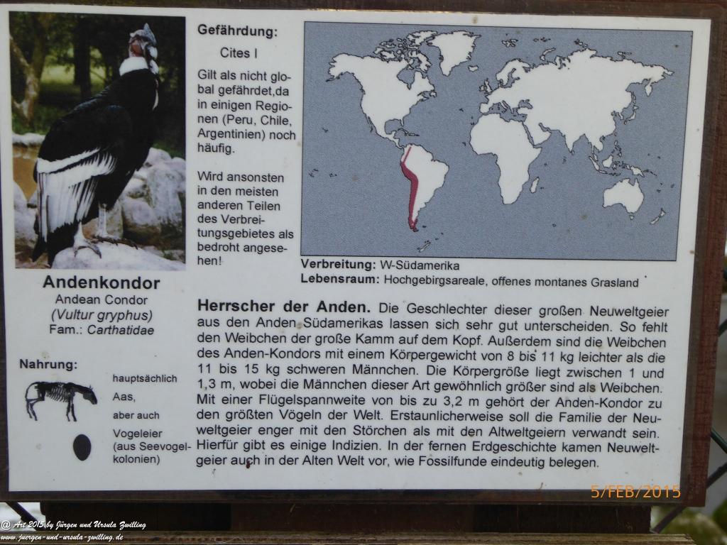 Philosophische Bildwanderung Hemmelsdorfer See - Vogelpark Niendorf - Timmerdorferstrand - Ostsee