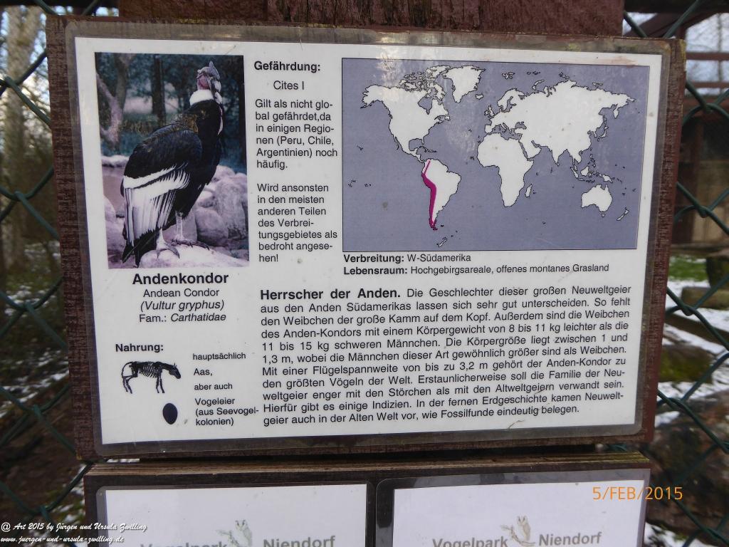 Philosophische Bildwanderung Hemmelsdorfer See - Vogelpark Niendorf - Timmerdorferstrand - Ostsee