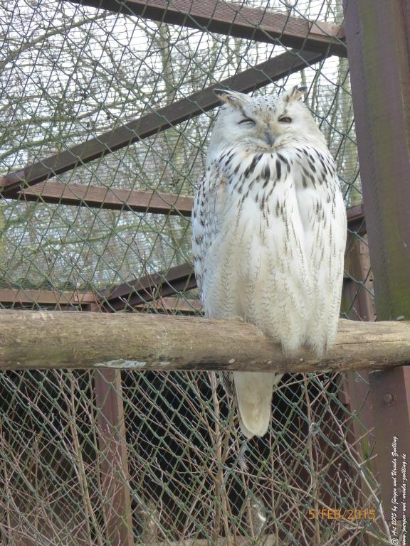 Philosophische Bildwanderung Hemmelsdorfer See - Vogelpark Niendorf - Timmerdorferstrand - Ostsee