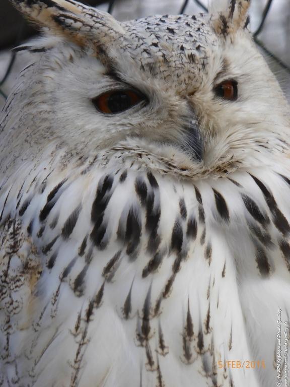Philosophische Bildwanderung Hemmelsdorfer See - Vogelpark Niendorf - Timmerdorferstrand - Ostsee