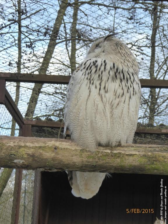 Philosophische Bildwanderung Hemmelsdorfer See - Vogelpark Niendorf - Timmerdorferstrand - Ostsee
