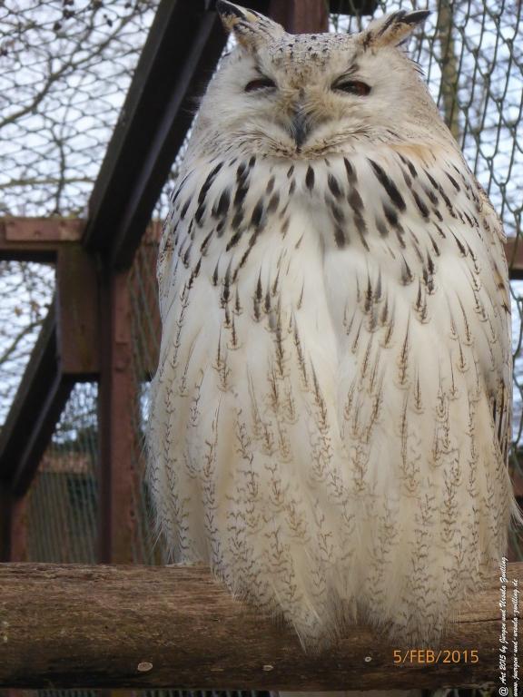 Philosophische Bildwanderung Hemmelsdorfer See - Vogelpark Niendorf - Timmerdorferstrand - Ostsee