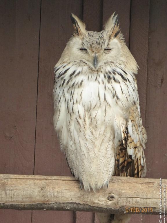 Philosophische Bildwanderung Hemmelsdorfer See - Vogelpark Niendorf - Timmerdorferstrand - Ostsee