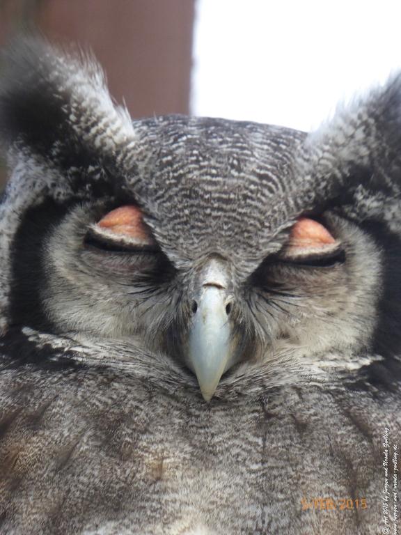 Philosophische Bildwanderung Hemmelsdorfer See - Vogelpark Niendorf - Timmerdorferstrand - Ostsee