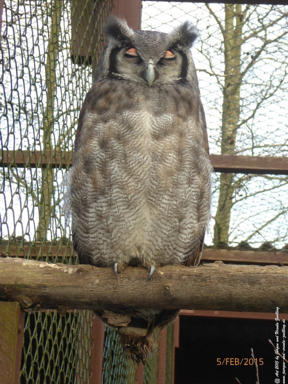 Philosophische Bildwanderung Hemmelsdorfer See - Vogelpark Niendorf - Timmerdorferstrand - Ostsee