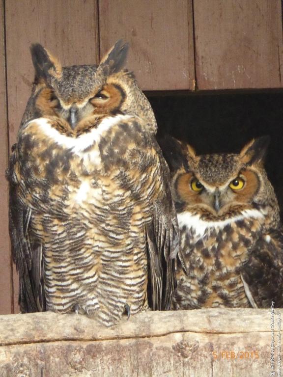 Philosophische Bildwanderung Hemmelsdorfer See - Vogelpark Niendorf - Timmerdorferstrand - Ostsee