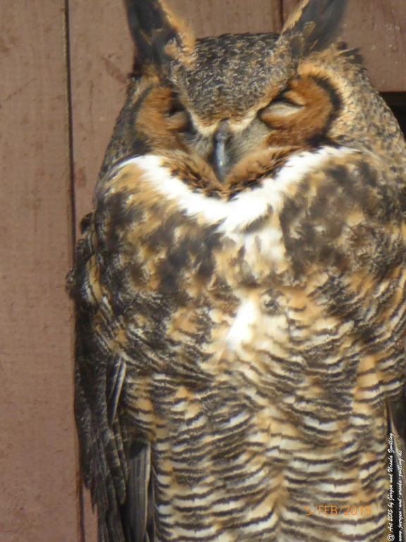 Philosophische Bildwanderung Hemmelsdorfer See - Vogelpark Niendorf - Timmerdorferstrand - Ostsee