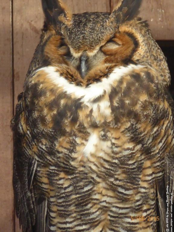 Philosophische Bildwanderung Hemmelsdorfer See - Vogelpark Niendorf - Timmerdorferstrand - Ostsee